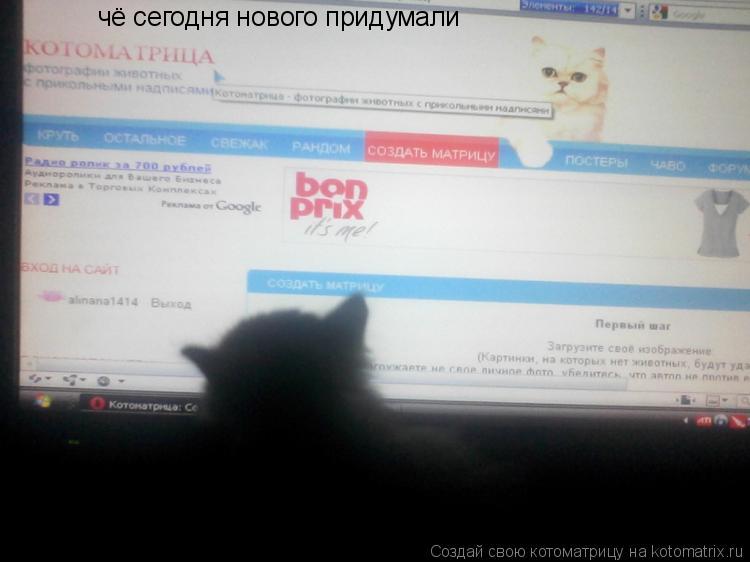 Котоматрица: чё сегодня нового придумали
