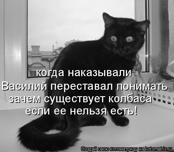 Котоматрица: когда наказывали Василий переставал понимать зачем существует колбаса если ее нельзя есть!