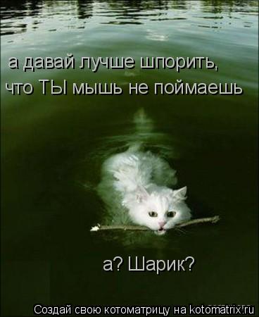 Котоматрица: а давай лучше шпорить, что ТЫ мышь не поймаешь а? Шарик?