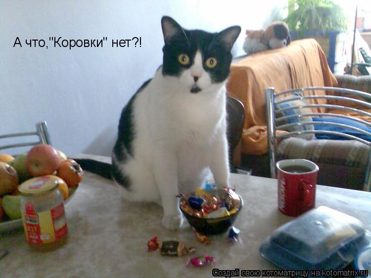 Котоматрица: А что,"Коровки" нет?!