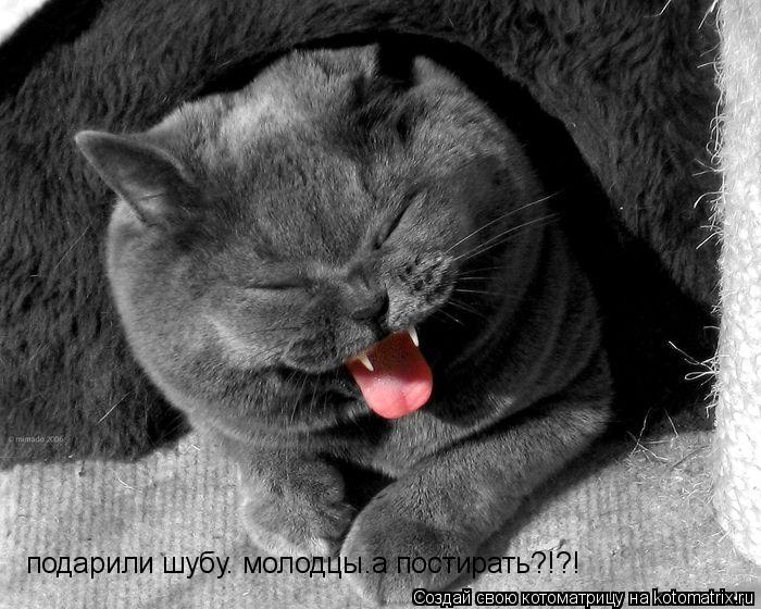 Котоматрица: подарили шубу. молодцы.а постирать?!?!