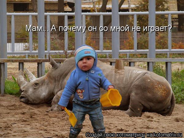 Котоматрица: Мам... А почему он со мной не играет?