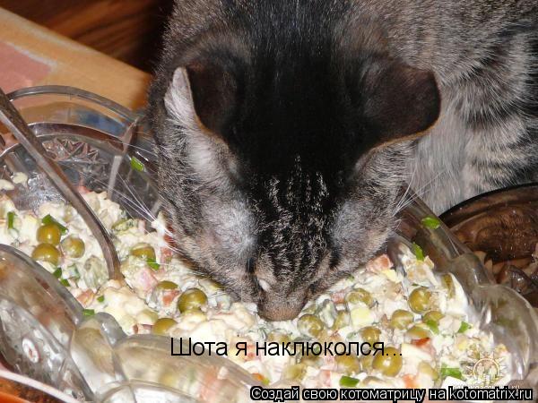 Котоматрица: Шота я наклюколся...