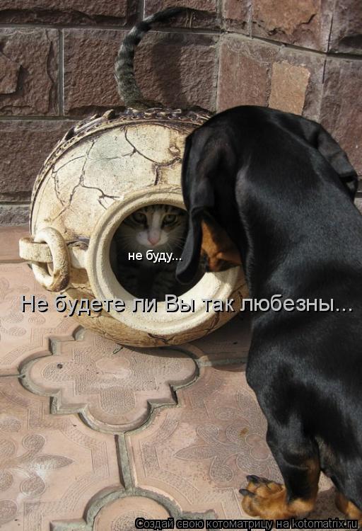 не буду... Не будете ли Вы так любезны...... Котоматрица: не буду... Не будете ли Вы так любезны...