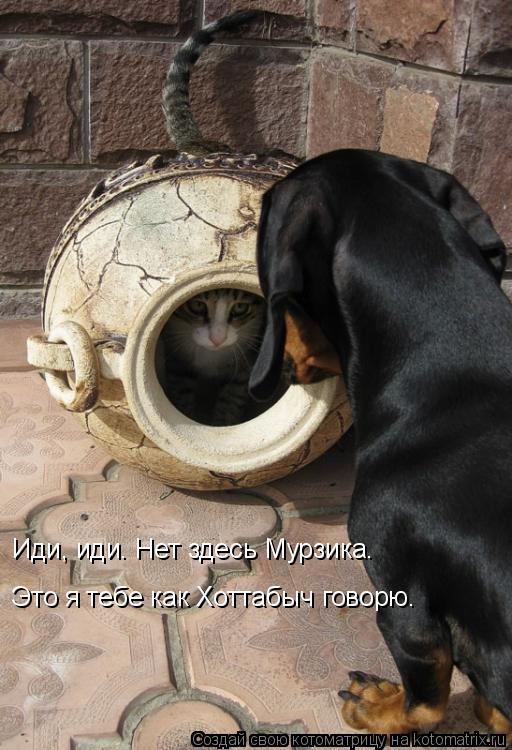 Котоматрица: Иди, иди. Нет здесь Мурзика. Это я тебе как Хоттабыч говорю.