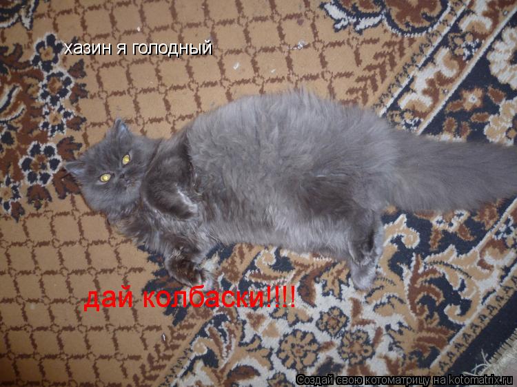 Котоматрица: хазин я голодный дай колбаски!!!!