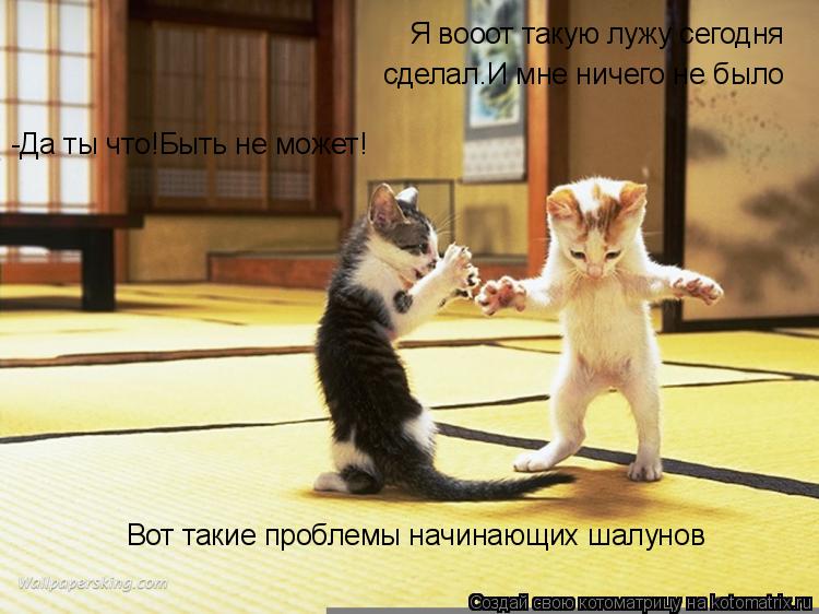 Я вооот такую лужу сегодня сделал.И мне ничего не было -Да ты что!Быть не может! Вот такие проблемы ... Котоматрица: Я вооот такую лужу сегодня сделал.И мне ничего не было -Да ты что!Быть не может! Вот такие проблемы начинающих шалунов