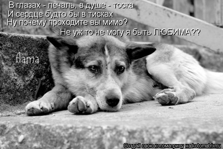 Статусы когда на душе тоска Статусы когда на душе тоска