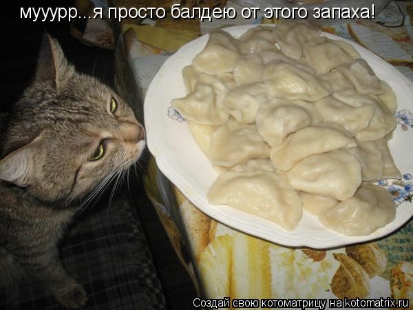 мууурр...я просто балдею от этого запаха!... Котоматрица: мууурр...я просто балдею от этого запаха!