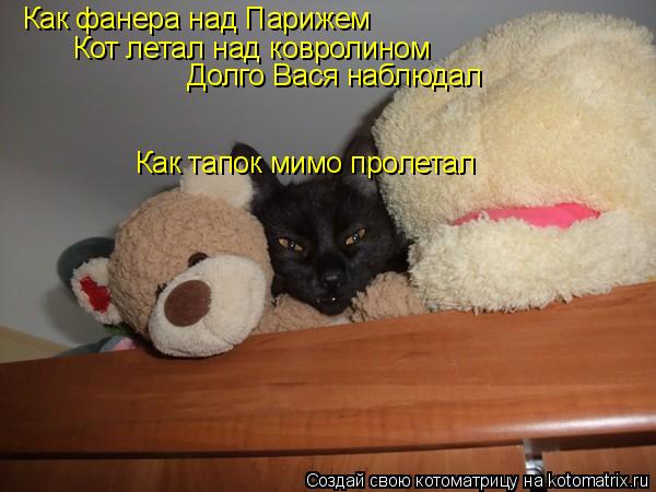 Как фанера над Парижем Кот летал над ковролином Долго Вася наблюдал Как тапок мимо пролетал... Котоматрица: Как фанера над Парижем Кот летал над ковролином Долго Вася наблюдал Как тапок мимо пролетал