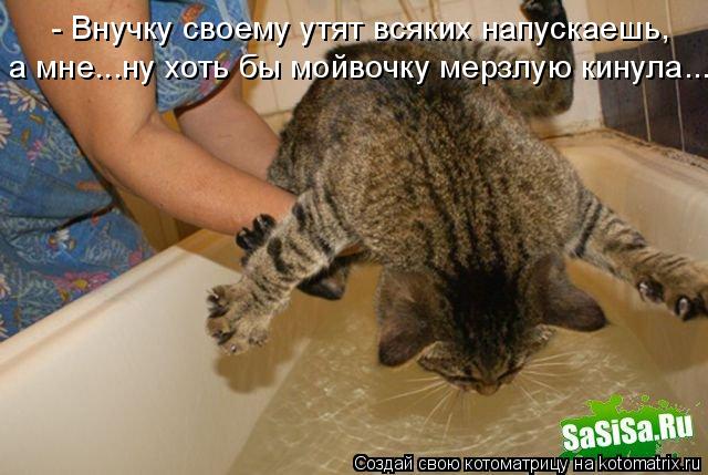 - Внучку своему утят всяких напускаешь, а мне...ну хоть бы мойвочку мерзлую кинула...... Котоматрица: - Внучку своему утят всяких напускаешь, а мне...ну хоть бы мойвочку мерзлую кинула...