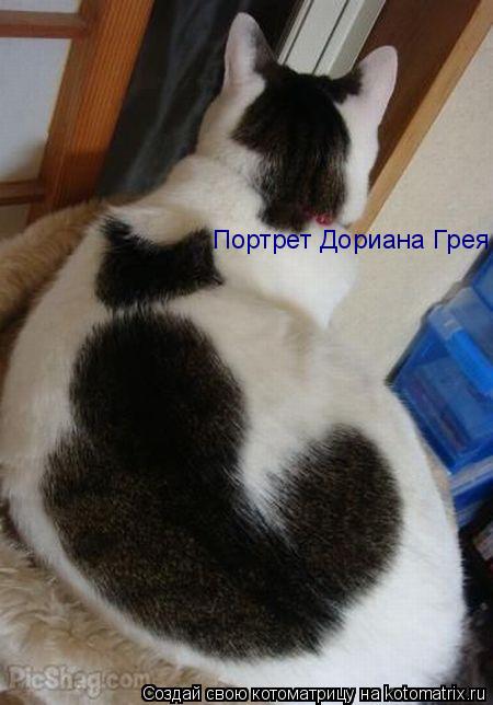 Портрет Дориана Грея... Котоматрица: Портрет Дориана Грея