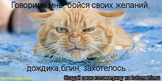 Говорили мне, бойся своих желаний, дождика,блин, захотелось...... Котоматрица: Говорили мне, бойся своих желаний, дождика,блин, захотелось...