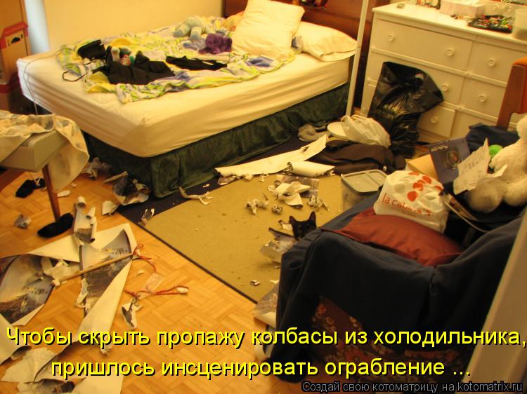 Котоматрица: Чтобы скрыть пропажу колбасы из холодильника, пришлось инсценировать ограбление ...