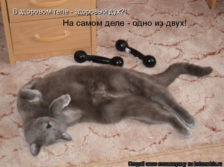 В здоровом теле - здоровый дух?! На самом деле - одно из двух!... Котоматрица: В здоровом теле - здоровый дух?! На самом деле - одно из двух!