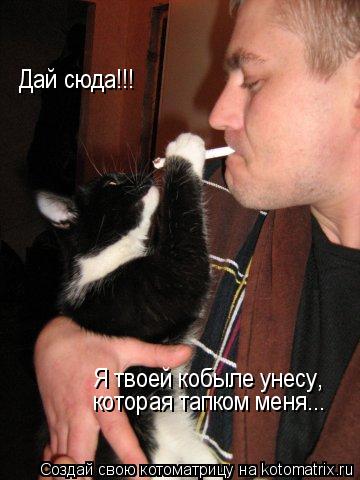 Я твоей кобыле унесу, которая тапком меня... Дай сюда!!!... Котоматрица: Я твоей кобыле унесу, которая тапком меня... Дай сюда!!!