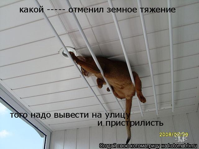 какой ----- отменил земное тяжение того надо вывести на улицу и пристрилисть... Котоматрица: какой ----- отменил земное тяжение того надо вывести на улицу и пристрилисть