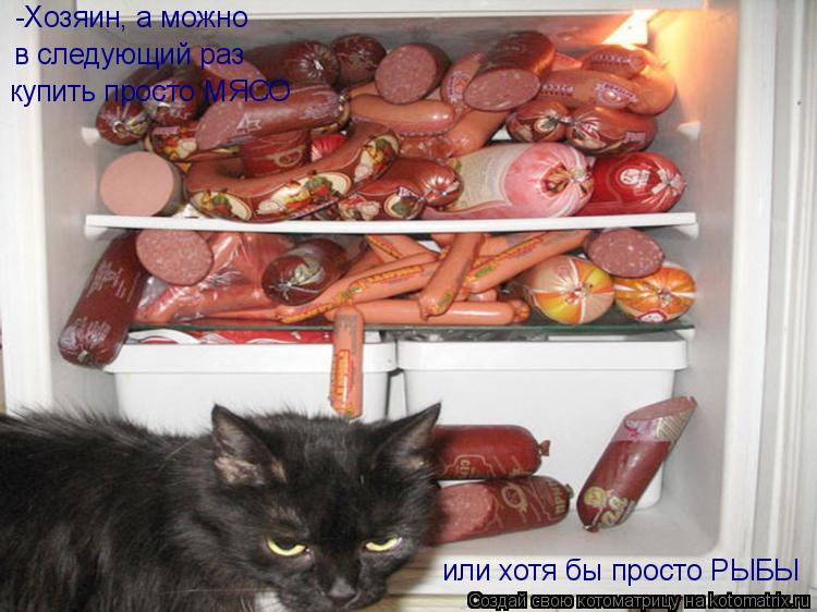 -Хозяин, а можно в следующий раз купить просто МЯСО или хотя бы просто РЫБЫ... Котоматрица: -Хозяин, а можно в следующий раз купить просто МЯСО или хотя бы просто РЫБЫ