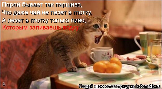 Порой бывает так паршиво, Что даже чай не лезет в глотку, А лезет в глотку только пиво, Которым запив... Котоматрица: Порой бывает так паршиво, Что даже чай не лезет в глотку, А лезет в глотку только пиво, Которым запиваешь водку.