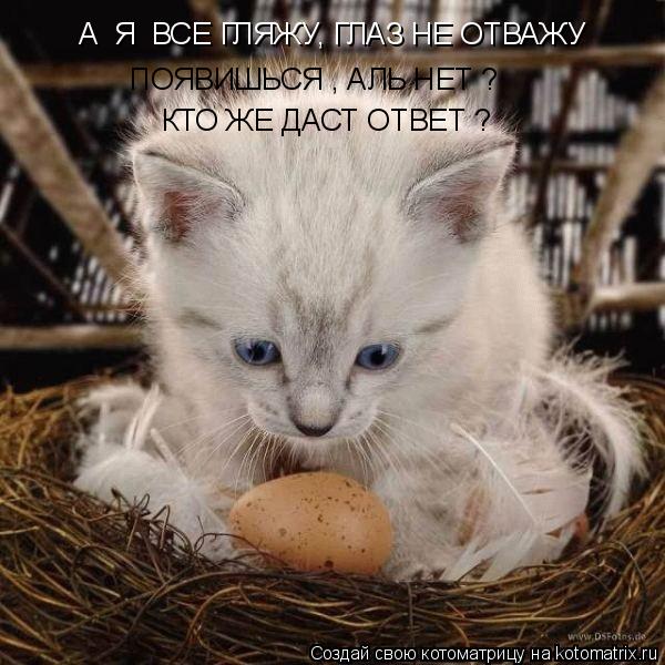 ПОЯВИШЬСЯ , АЛЬ НЕТ ? КТО ЖЕ ДАСТ ОТВЕТ ? А Я ВСЕ ГЛЯЖУ, ГЛАЗ НЕ ОТВАЖУ... Котоматрица: ПОЯВИШЬСЯ , АЛЬ НЕТ ? КТО ЖЕ ДАСТ ОТВЕТ ? А Я ВСЕ ГЛЯЖУ, ГЛАЗ НЕ ОТВАЖУ