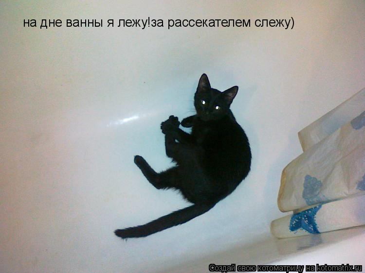на дне ванны я лежу!за рассекателем слежу)... Котоматрица: на дне ванны я лежу!за рассекателем слежу)