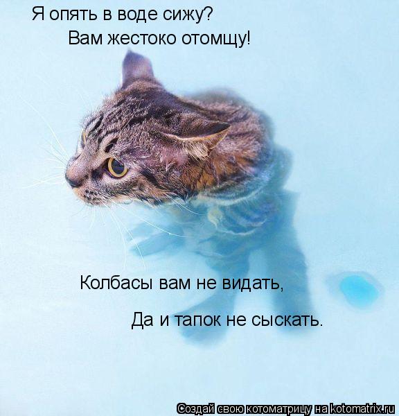Я опять в воде сижу? Вам жестоко отомщу! Колбасы вам не видать, Да и тапок не сыскать.... Котоматрица: Я опять в воде сижу? Вам жестоко отомщу! Колбасы вам не видать, Да и тапок не сыскать.