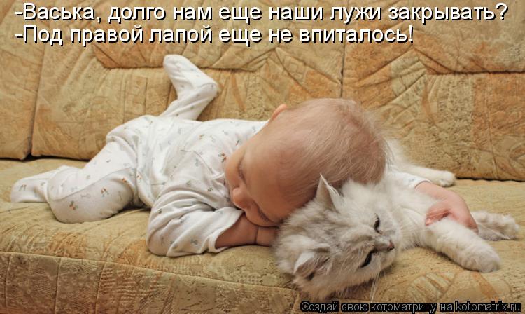 Котоматрица: -Васька, долго нам еще наши лужи закрывать? -Под правой лапой еще не впиталось!