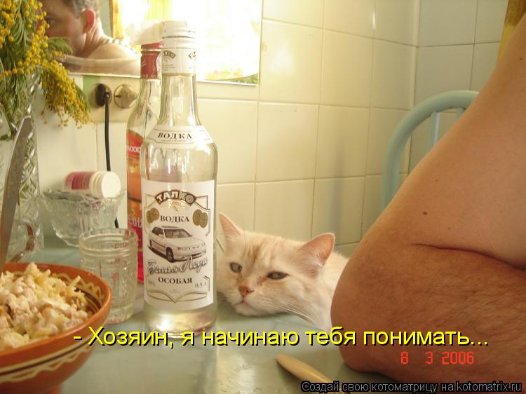 - Хозяин, я начинаю тебя понимать...... Котоматрица: - Хозяин, я начинаю тебя понимать...