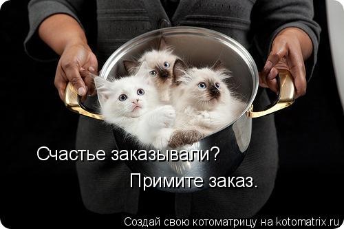 Счастье заказывали? Примите заказ.... Котоматрица: Счастье заказывали? Примите заказ.