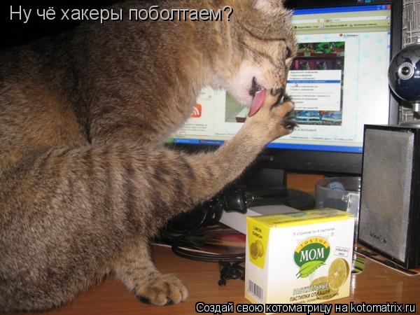 Ну чё хакеры поболтаем?... Котоматрица: Ну чё хакеры поболтаем?