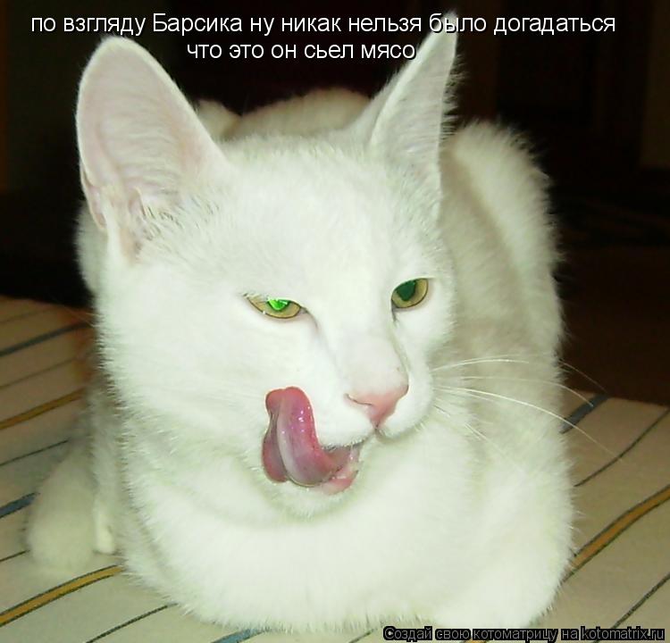 по взгляду Барсика ну никак нельзя было догадаться что это он сьел мясо... Котоматрица: по взгляду Барсика ну никак нельзя было догадаться что это он сьел мясо