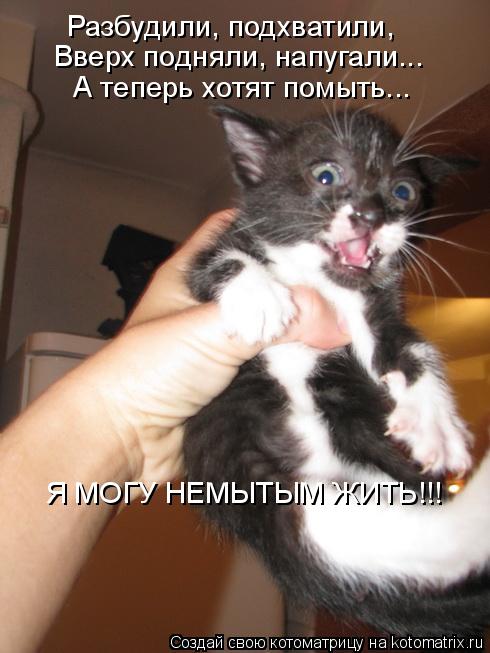 Котоматрица: Разбудили, подхватили, Вверх подняли, напугали... А теперь хотят помыть... Я МОГУ НЕМЫТЫМ ЖИТЬ!!!