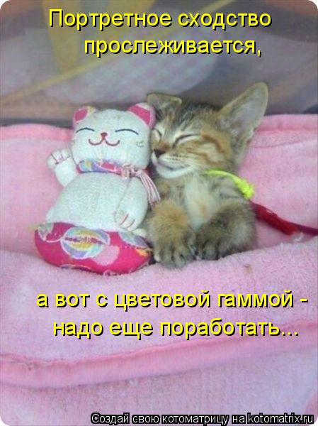 Портретное сходство прослеживается, а вот с цветовой гаммой - надо еще поработать...... Котоматрица: Портретное сходство прослеживается, а вот с цветовой гаммой - надо еще поработать...