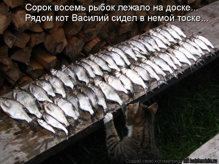 Сорок восемь рыбок лежало на доске... Рядом кот Василий сидел в немой тоске...... Котоматрица: Сорок восемь рыбок лежало на доске... Рядом кот Василий сидел в немой тоске...