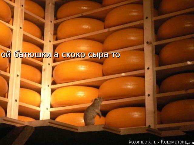 ой батюшки а скоко сыра то... Котоматрица: ой батюшки а скоко сыра то