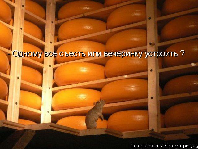 Котоматрица: - Одному всё съесть или вечеринку устроить ?