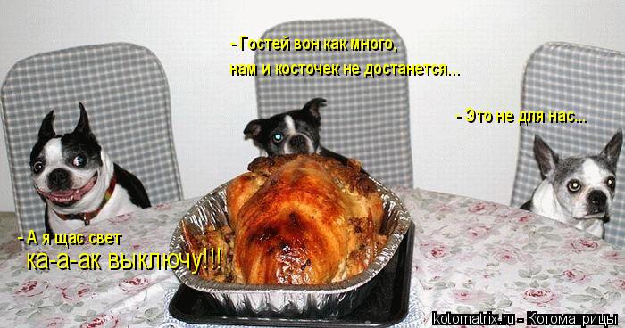 Котоматрица: - Это не для нас... - Гостей вон как много, нам и косточек не достанется... - А я щас свет  ка-а-ак выключу!!!