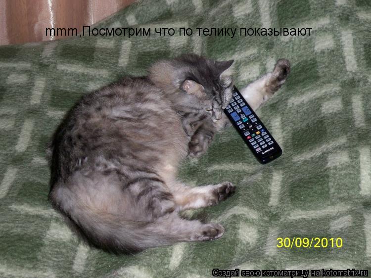 Котоматрица: mmm,Посмотрим что по телику показывают