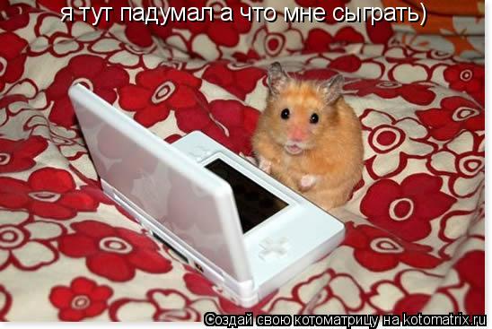 Котоматрица: я тут падумал а что мне сыграть)