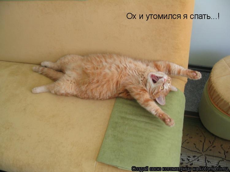 Ох и утомился я спать...!... Котоматрица: Ох и утомился я спать...!