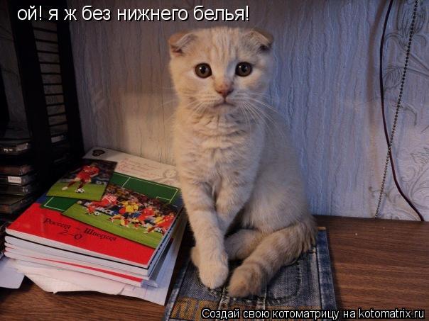 ой! я ж без нижнего белья!... Котоматрица: ой! я ж без нижнего белья!