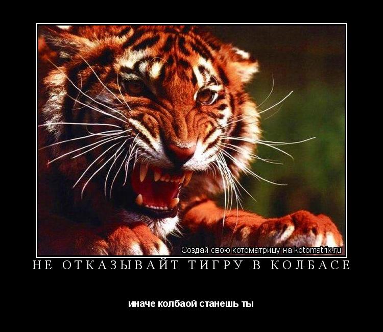 Котоматрица: НЕ ОТКАЗЫВАЙТ ТИГРУ В КОЛБАСЕ иначе колбаой станешь ты