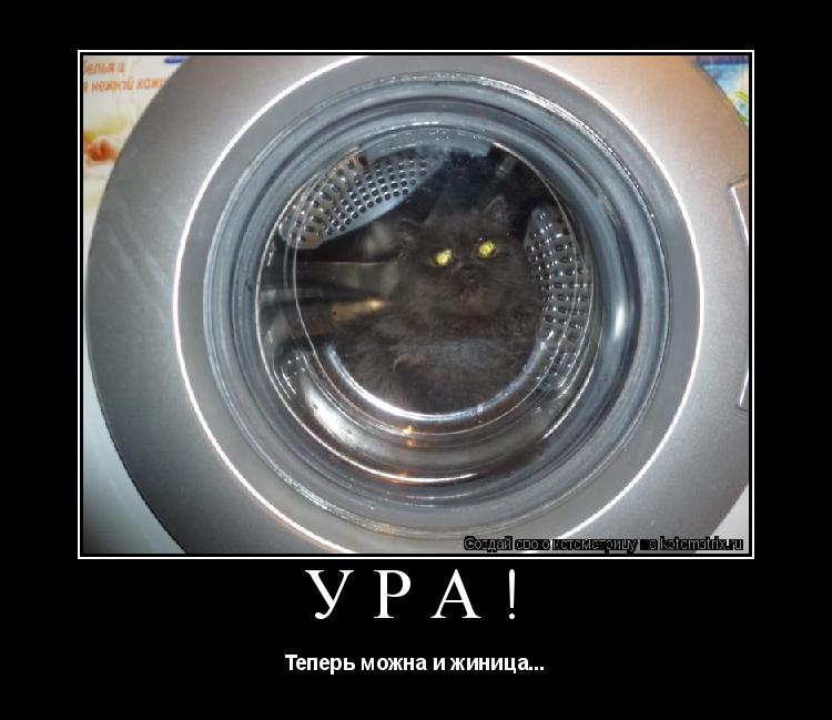 Ура! Теперь можна и жиница...... Котоматрица: Ура! Теперь можна и жиница...