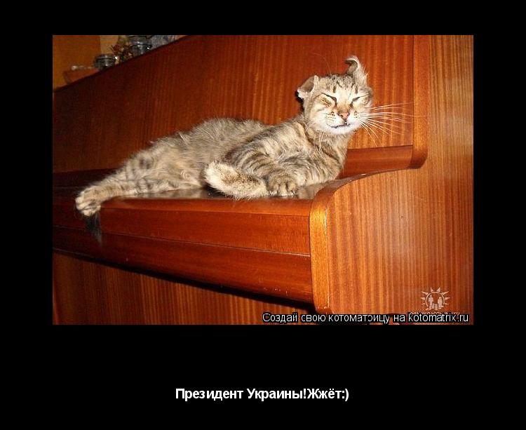 Янукович Президент Украины!Жжёт:)... Котоматрица: Янукович Президент Украины!Жжёт:)