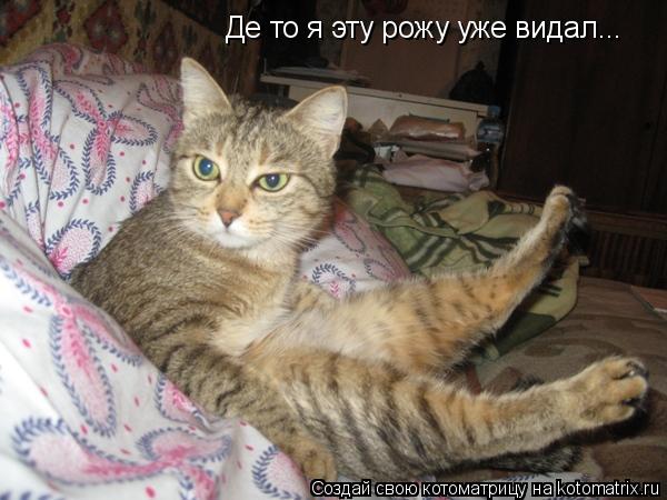 Де то я эту рожу уже видал...... Котоматрица: Де то я эту рожу уже видал...