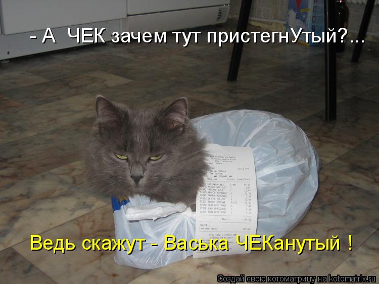 Котоматрица: - А  ЧЕК зачем тут пристегнУтый?... Ведь скажут - Васька ЧЕКанутый !