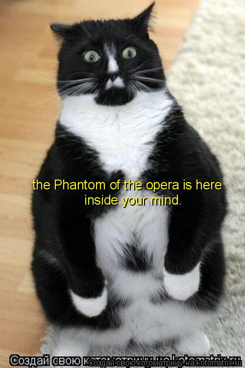 Котоматрица: the Phantom of the opera is here  inside your mind.