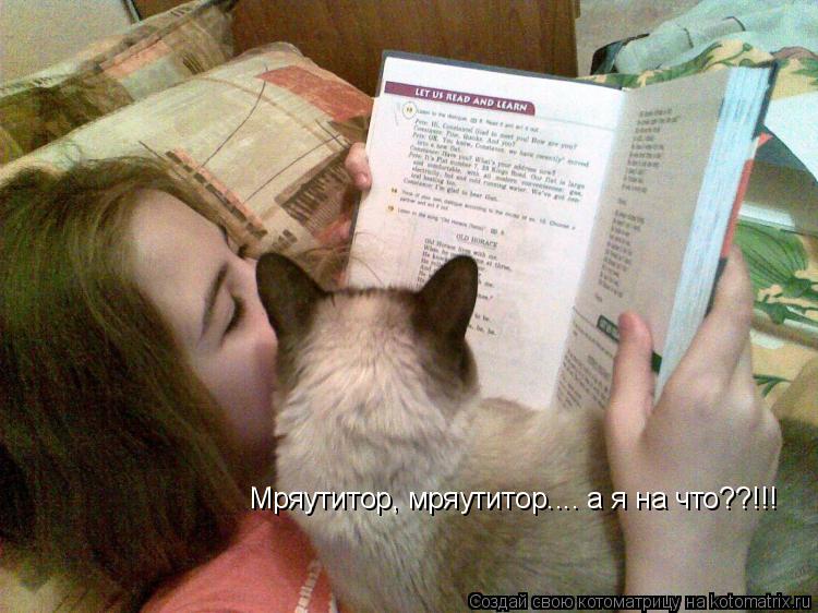 Котоматрица: Мряутитор, мряутитор.... а я на что??!!!