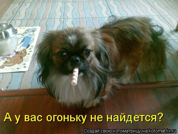 Котоматрица: А у вас огоньку не найдется?