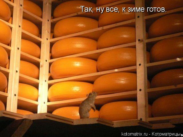 Котоматрица: Так, ну все, к зиме готов.